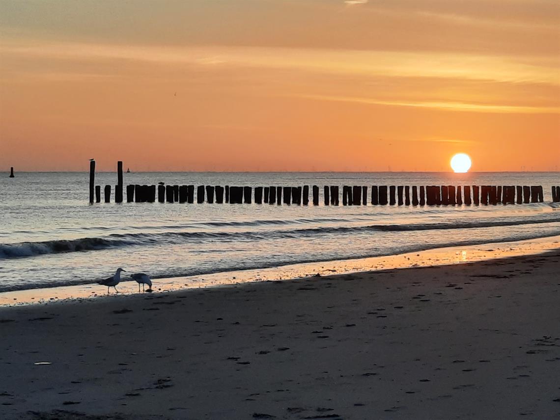 Vakantie aan de Zeeuwse kust